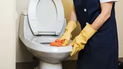 Cum să curățați temeinic toaleta și să obțineți o curățenie impecabilă în doar câțiva pași.